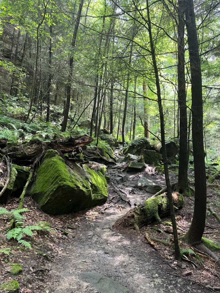 exploring nature green path hocking hills ohio