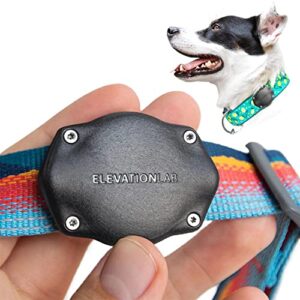 TagVault™ AirTag Dog Collar Mount