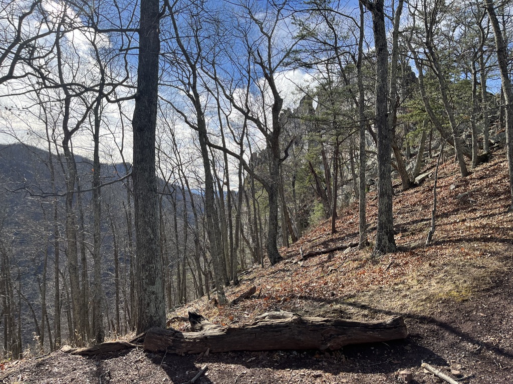 View from near the top of Seneca Rocks hiking traip