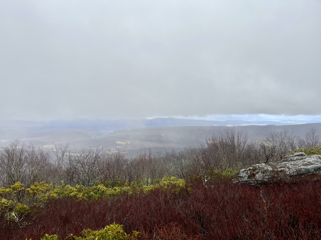 Views from atop Bear Rocks 